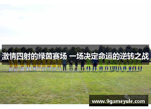 激情四射的绿茵赛场 一场决定命运的逆转之战